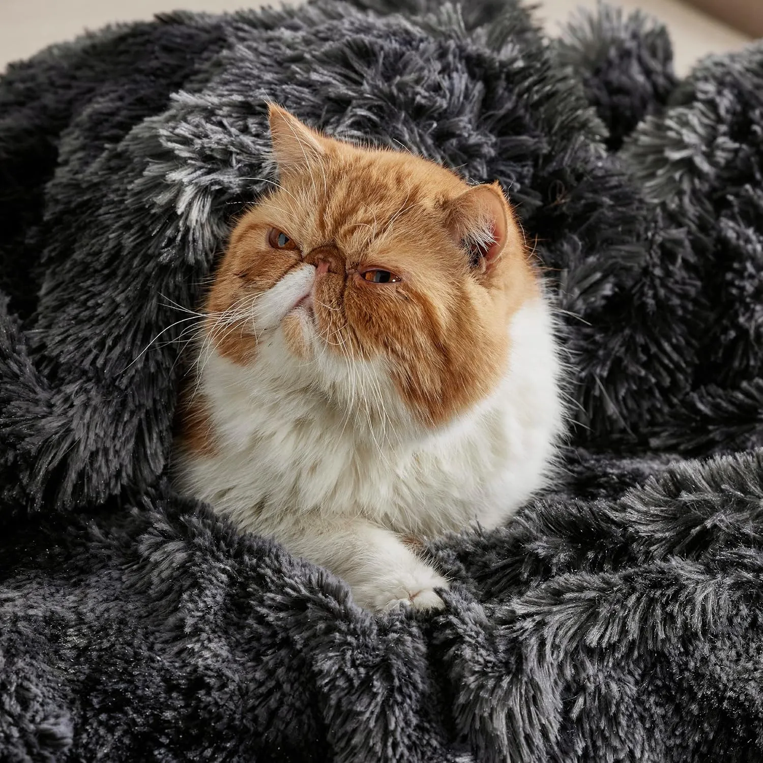 Bedsure Fluffy Black Blanket Throws Gifts for Men, Women, Soft Fleece Cozy Fuzzy Sherpa Plush Warm Minky Thick Faux Fur Throws for Couch, Bed, Black Decor House Blanket Gifts for Him Her, 50x60