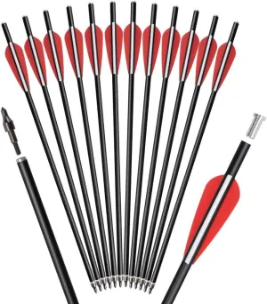 Crossbow Bolts Arrows Fiberglass 12 14 16 Inch Hunting Archery Target Arrow with Replaced 100 Grain Arrowheads Flat Nocks (Pack of 12)